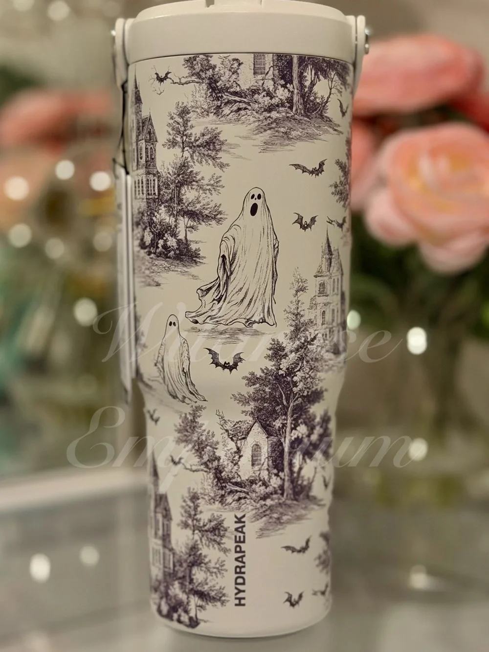 Hydrapeak haunted halloween village ghosts bats etched style water bottle nomad
